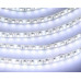 LED szalag , kültéri , 2835 , 120 led/m , 9,6 Watt/m , hideg fehér , PRO