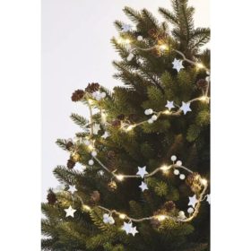   Led fényfüzér , tobozokkal ,  beltéri , 20 db LED , 1.7 m , meleg fehér , elemes