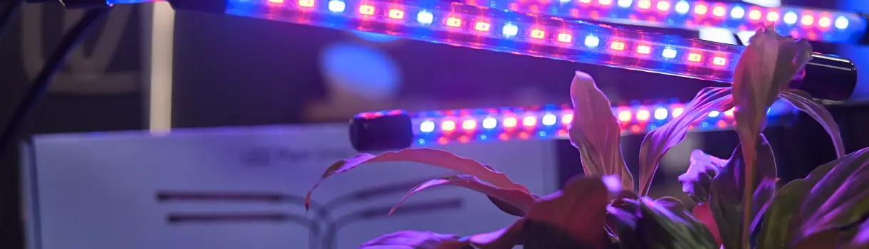Növénynevelő LED