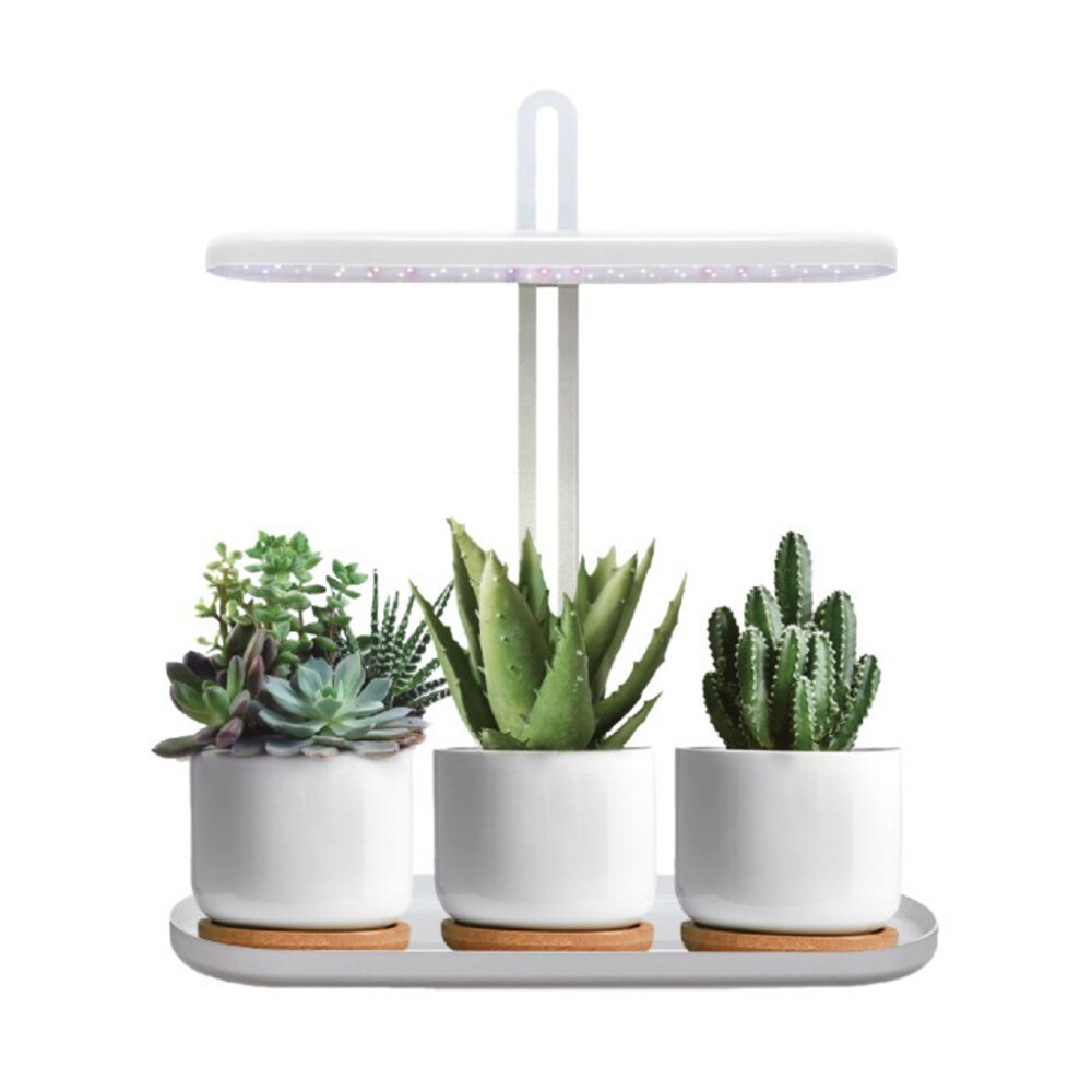 Kobi Design LED növénynevelő lámpa LED BLOOM 12W 4500K, természetes fehér, ≥95, szabályozható, KOBI-004319