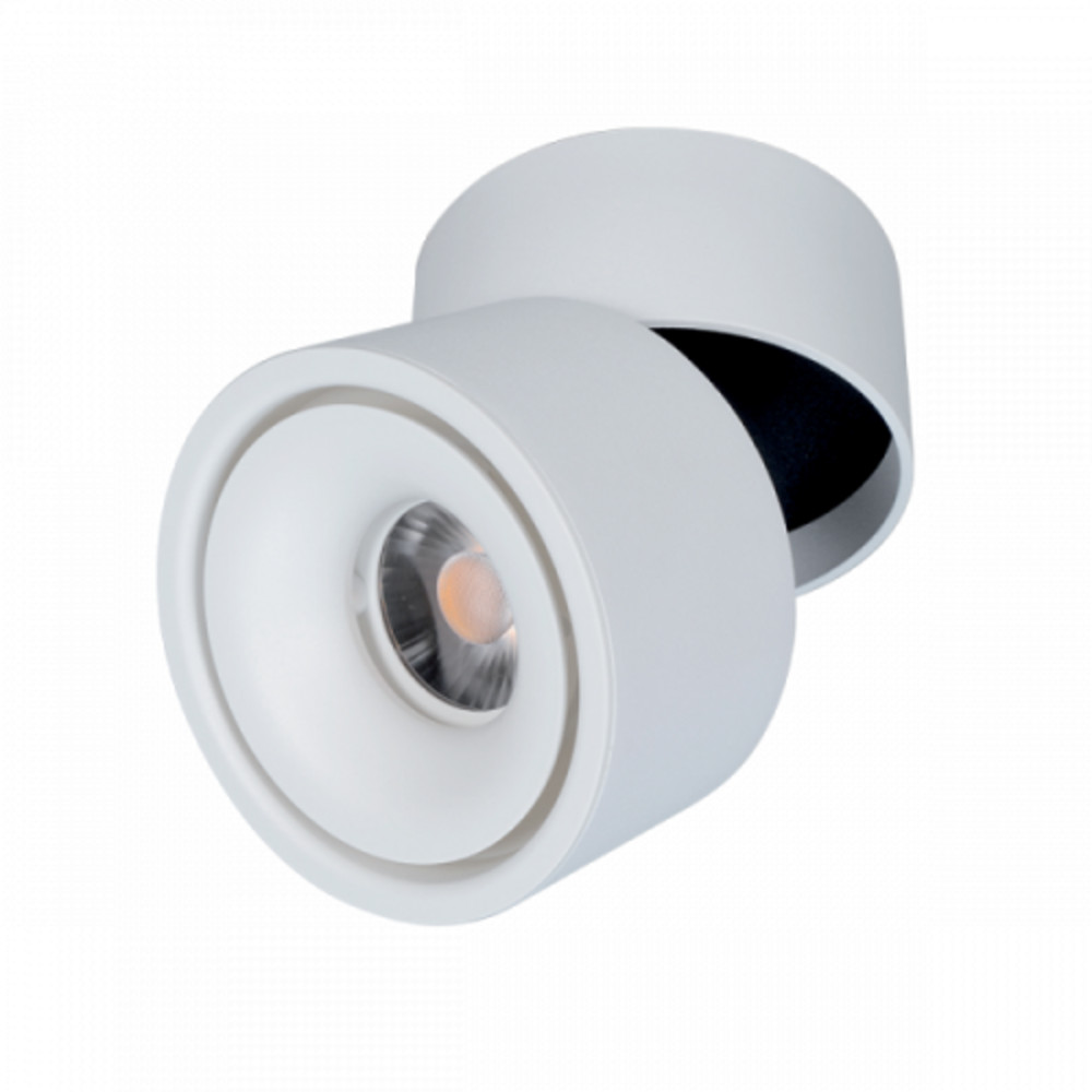 LED fényvető , mennyezetre szerelhető , 10 Watt , billenthető , 24° , hideg fehér , fehér , Elmark