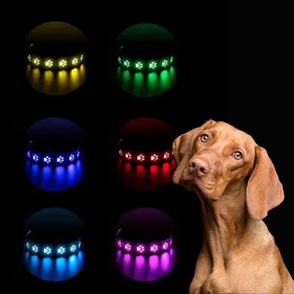LED-es kutyanyakörv , állítható , USB , tölthető , vízálló , 35cm , S-es , tappancsos, narancssárga